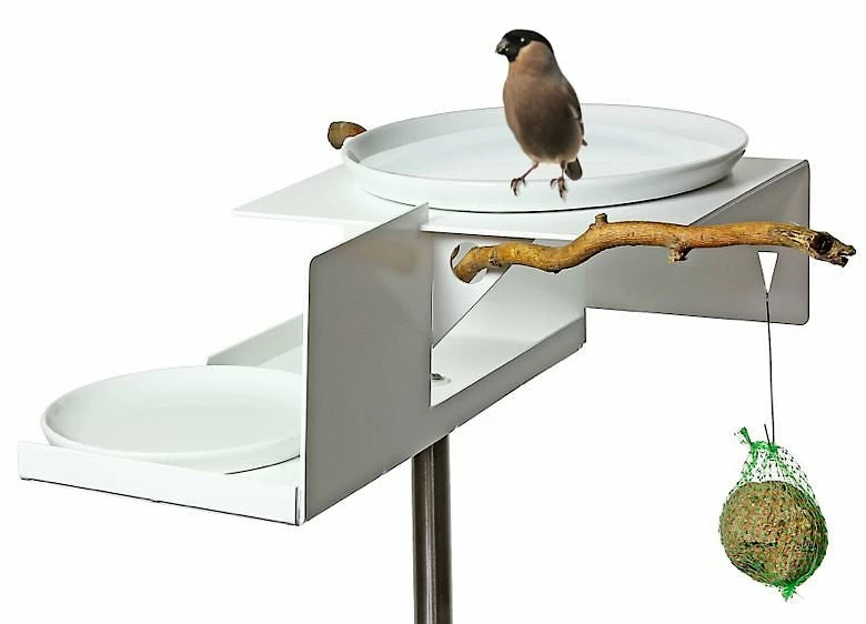Mod Bird Bath/Feeder On Pole 2 Mod Bird Bath/Feeder On Pole - Image 2