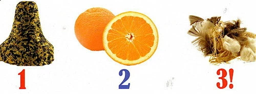 Birdie Bell Nester And Feeder 2 Birdie Bell Nester And Feeder - Image 2