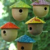 Gourd Bird Feeder