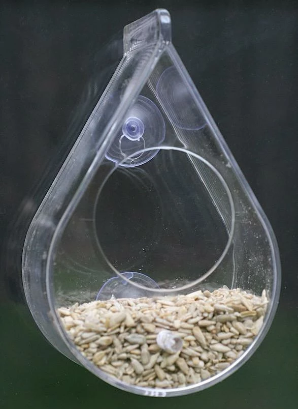 Dew Drop Window Bird Feeder 2 Dew Drop Window Bird Feeder - Image 2