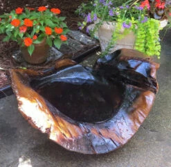 Natural Teak Ground Bird Bath -US Poultry Sales Store extra large teak ground birdbath