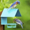 Fence-Post Bluebird Feeder- Blue Or Orange