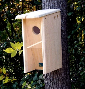 Starling Resistant Flicker Birdhouse 1 Starling Resistant Flicker Birdhouse