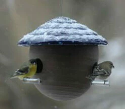 Gourd Bird Feeder 10 Gourd Bird Feeder -US Poultry Sales Store gourd feeder detail