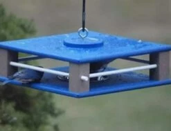 Gilbertson Hanging Bluebird Feeder 7 Gilbertson Hanging Bluebird Feeder -US Poultry Sales Store hanging bluebird feeder