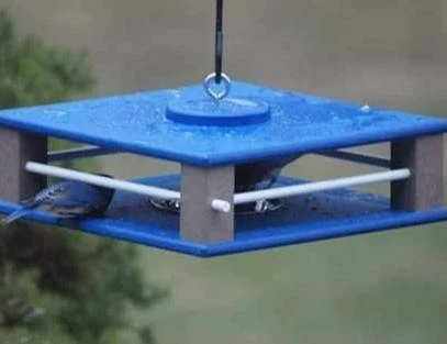 Gilbertson Hanging Bluebird Feeder 4 Gilbertson Hanging Bluebird Feeder - Image 4