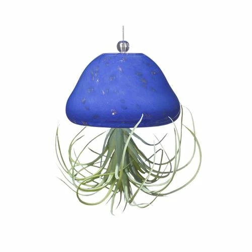 Jellyfish Air Plant Hangers Set/3 2 Jellyfish Air Plant Hangers Set/3 - Image 2