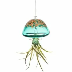 Jellyfish Air Plant Hangers Set/3 7 Jellyfish Air Plant Hangers Set/3 -US Poultry Sales Store jellyfish air plant hanger green