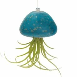Jellyfish Air Plant Hangers Set/3 6 Jellyfish Air Plant Hangers Set/3 -US Poultry Sales Store jellyfish air plant hanger teal