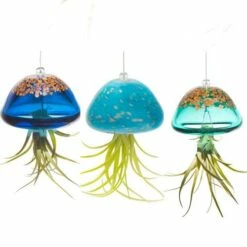 Jellyfish Air Plant Hangers Set/3
