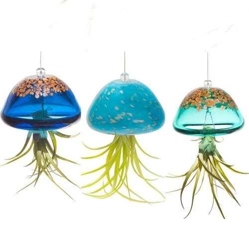 Jellyfish Air Plant Hangers Set/3 1 Jellyfish Air Plant Hangers Set/3