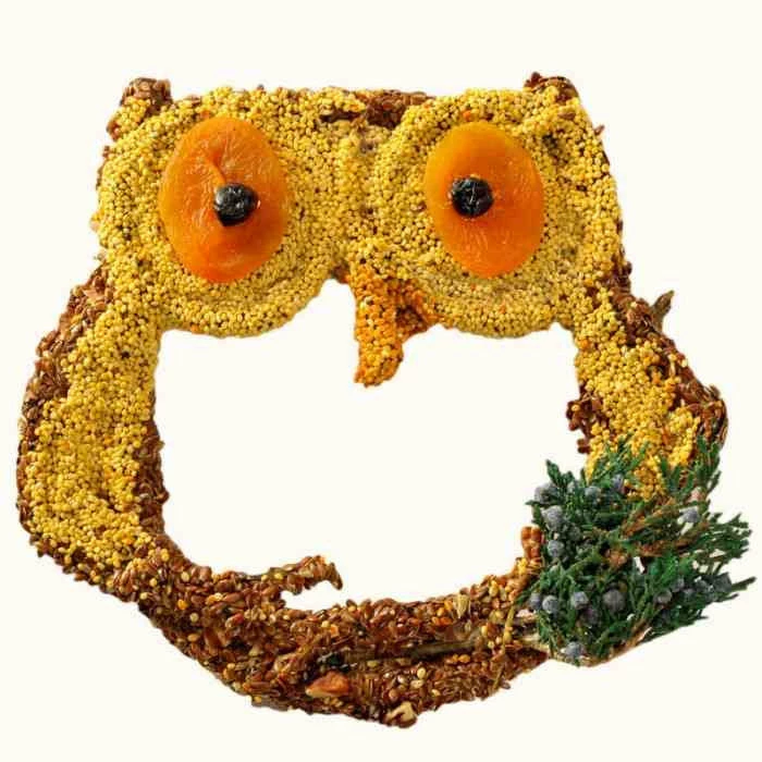 Big Owl Bird Seed Treat-Grapevine Form 1 Big Owl Bird Seed Treat-Grapevine Form