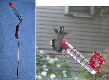 Charmer Hand-Held Hummingbird Feeder Set 1 Charmer Hand-Held Hummingbird Feeder Set