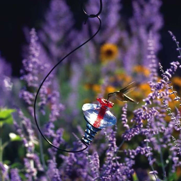 Mini-Blossom Hummingbird Feeder-Hanging 1 Mini-Blossom Hummingbird Feeder-Hanging