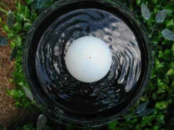 Water Wiggler For Birdbaths 5 Water Wiggler For Birdbaths -US Poultry Sales Store new wiggler 3c3b55ad cedd 4ba3 9ddc a6b502d6c4c2