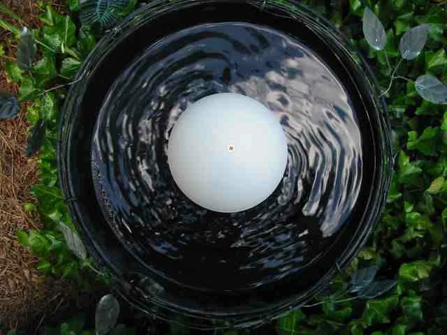 Water Wiggler For Birdbaths 3 Water Wiggler For Birdbaths - Image 3