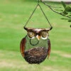 Owl Seed & Peanut Bird Feeder