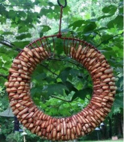 Whole Peanut Wreath Feeder 5 Whole Peanut Wreath Feeder -US Poultry Sales Store peanut wreath feeder 0c398828 15c0 4b24 8b84 da876e874a9e