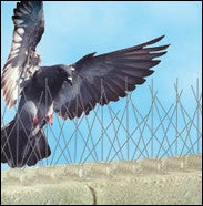 Bird-B-Gone Stainless Steel Bird Spikes 3 Bird-B-Gone Stainless Steel Bird Spikes - Image 3