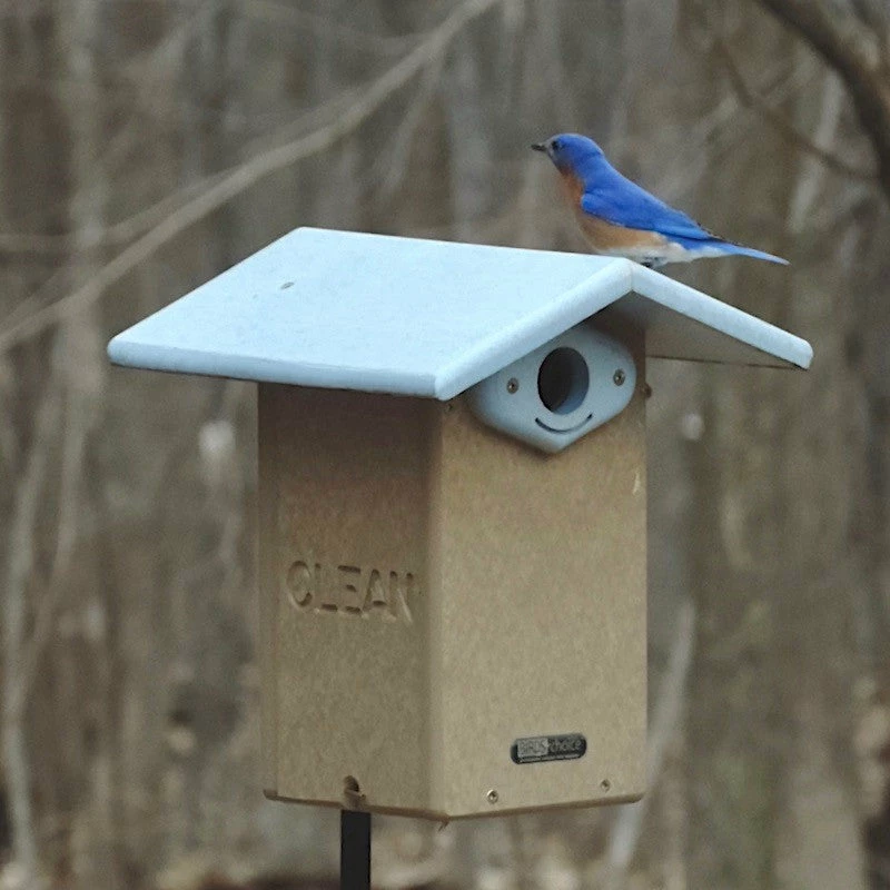 Deluxe Reycled Bluebird House-NABS Approved 2 Deluxe Reycled Bluebird House-NABS Approved - Image 2