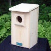 Saw-whet And Screech Owl House
