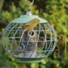 Gardman Nuttery Squirrel Proof Seed Feeder