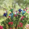 Mini-Blossom Hummingbird Feeders- Staked
