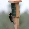 Tail Prop Suet Feeder
