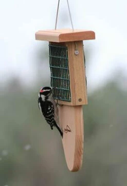 Tail Prop Suet Feeder