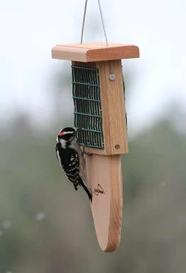 Tail Prop Suet Feeder 1 Tail Prop Suet Feeder