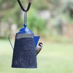 Teapot Bird Feeder- Peanuts/Sunflower
