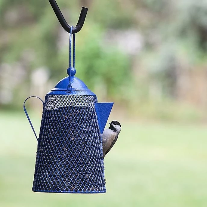 Teapot Bird Feeder- Peanuts/Sunflower 1 Teapot Bird Feeder- Peanuts/Sunflower