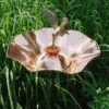 Copper Hummingbird Bird Bath-Iron Stake