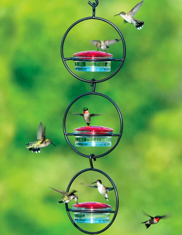 Triple Orb Glass Hummingbird Feeder 1 Triple Orb Glass Hummingbird Feeder
